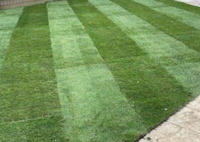 New grass laid in Cambridge